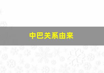 中巴关系由来