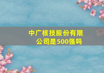 中广核技股份有限公司是500强吗