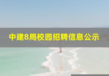 中建8局校园招聘信息公示