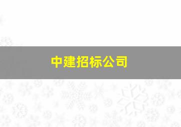 中建招标公司