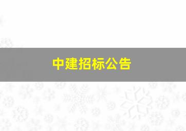 中建招标公告