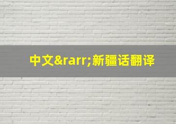 中文→新疆话翻译