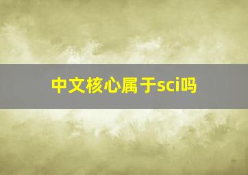 中文核心属于sci吗