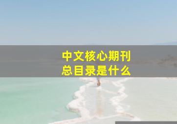 中文核心期刊总目录是什么