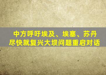 中方呼吁埃及、埃塞、苏丹尽快就复兴大坝问题重启对话