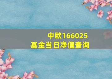 中欧166025基金当日净值查询