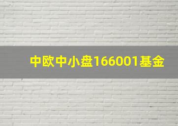 中欧中小盘166001基金