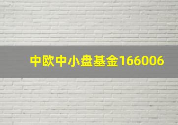 中欧中小盘基金166006