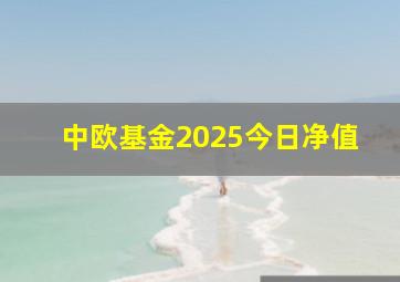 中欧基金2025今日净值