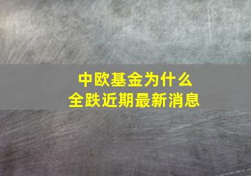 中欧基金为什么全跌近期最新消息