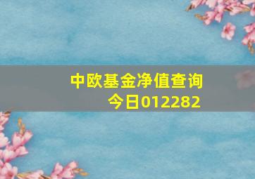 中欧基金净值查询今日012282