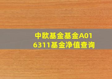 中欧基金基金A016311基金净值查询