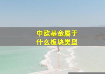 中欧基金属于什么板块类型