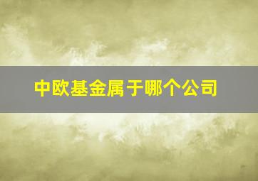 中欧基金属于哪个公司