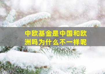 中欧基金是中国和欧洲吗为什么不一样呢