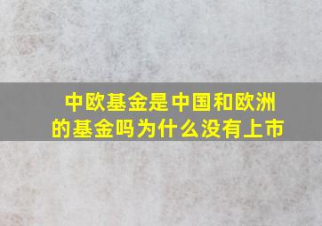 中欧基金是中国和欧洲的基金吗为什么没有上市