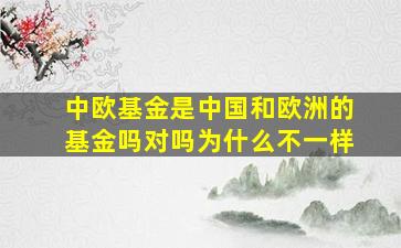 中欧基金是中国和欧洲的基金吗对吗为什么不一样