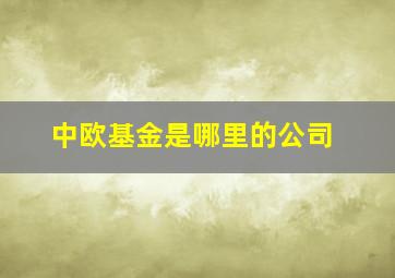 中欧基金是哪里的公司