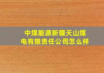 中煤能源新疆天山煤电有限责任公司怎么样