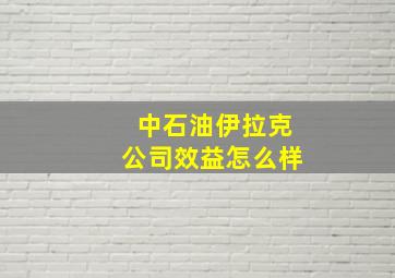 中石油伊拉克公司效益怎么样