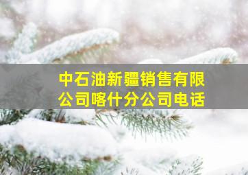 中石油新疆销售有限公司喀什分公司电话