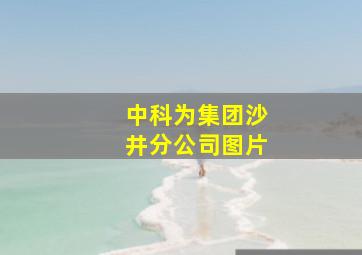 中科为集团沙井分公司图片