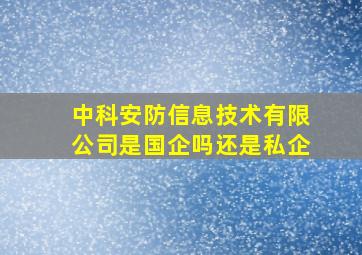 中科安防信息技术有限公司是国企吗还是私企