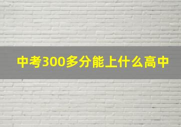 中考300多分能上什么高中