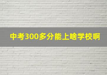 中考300多分能上啥学校啊