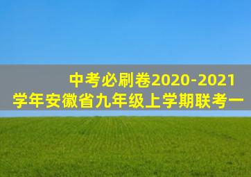 中考必刷卷2020-2021学年安徽省九年级上学期联考一