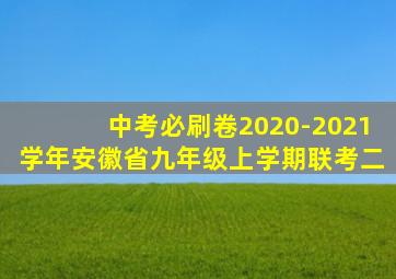 中考必刷卷2020-2021学年安徽省九年级上学期联考二