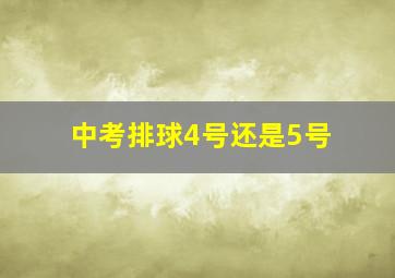 中考排球4号还是5号