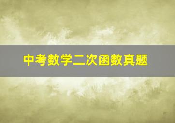 中考数学二次函数真题