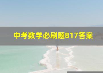 中考数学必刷题817答案