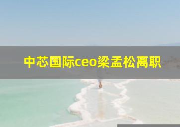 中芯国际ceo梁孟松离职