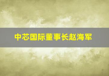 中芯国际董事长赵海军