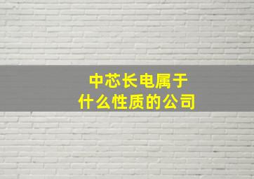 中芯长电属于什么性质的公司