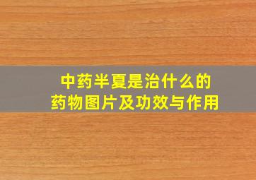 中药半夏是治什么的药物图片及功效与作用