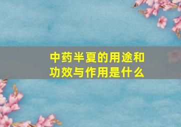 中药半夏的用途和功效与作用是什么