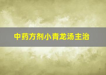 中药方剂小青龙汤主治