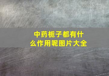 中药栀子都有什么作用呢图片大全