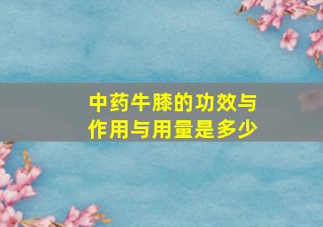 中药牛膝的功效与作用与用量是多少