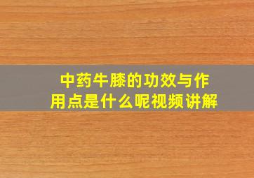 中药牛膝的功效与作用点是什么呢视频讲解