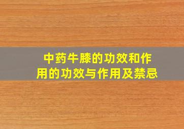 中药牛膝的功效和作用的功效与作用及禁忌