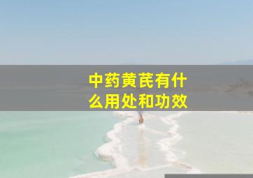 中药黄芪有什么用处和功效