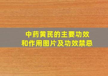 中药黄芪的主要功效和作用图片及功效禁忌