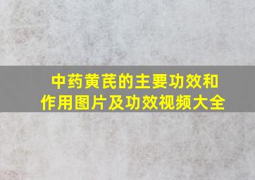 中药黄芪的主要功效和作用图片及功效视频大全