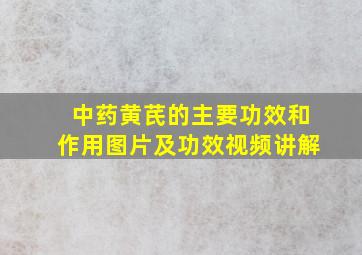 中药黄芪的主要功效和作用图片及功效视频讲解