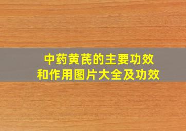 中药黄芪的主要功效和作用图片大全及功效