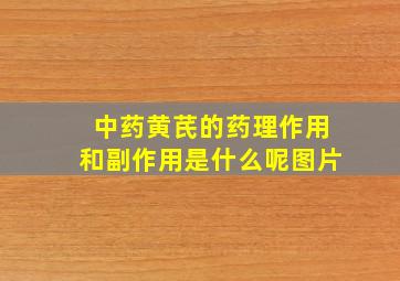 中药黄芪的药理作用和副作用是什么呢图片